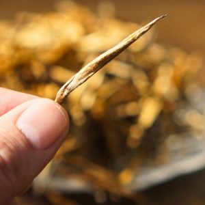 Premium 2026 ancient tree Big Golden Needle black tea loose leaves showing oversized fat buds covered in bright amber down.