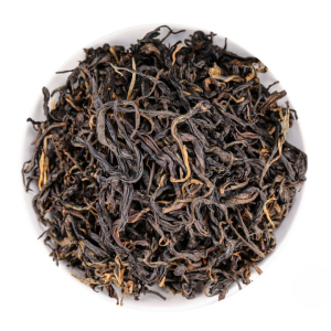 Premium sun-dried black tea dry leaves showing bold, robust, and plump dark-amber curls harvested from Jingmai Mountain in spring.